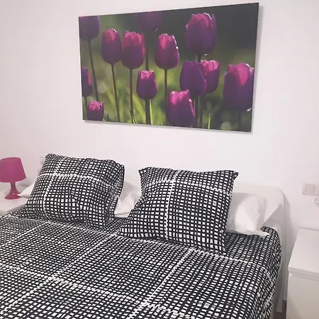 公寓 Centro Historico 特鲁埃尔