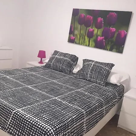 Daire Vivienda Centro Historico