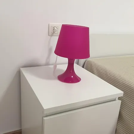 Centro Historico 公寓 *