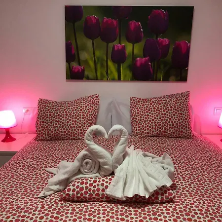 Centro Historico 公寓